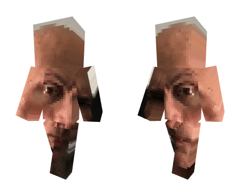 the rock I guess Minecraft skin