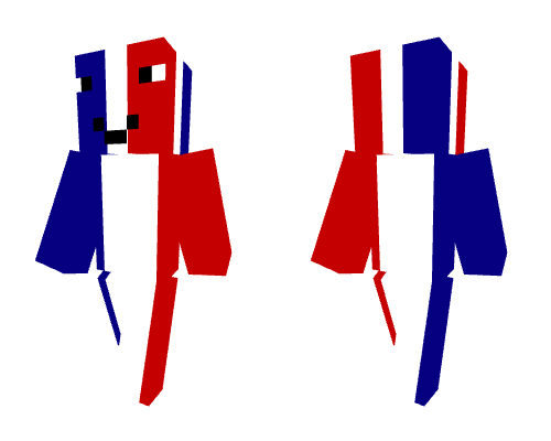 French flag as a head