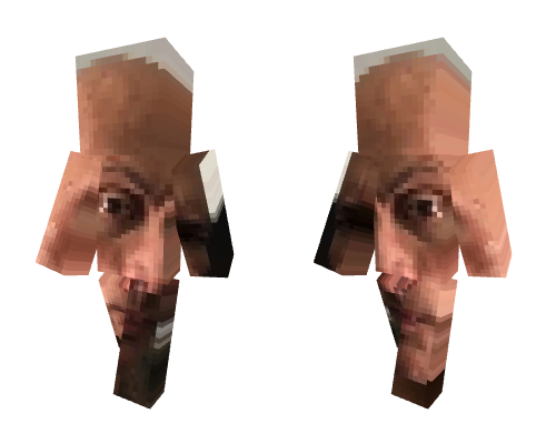 the rock I guess Minecraft skin