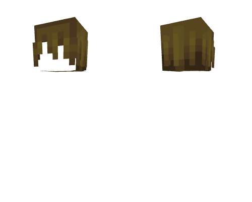 HB ~ Long Messy Dirty Blonde Bangs Minecraft skin