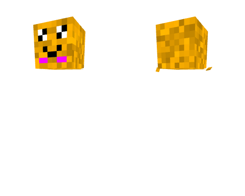 I don't know what to do. I am going insane pls help! Minecraft skin