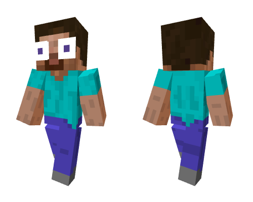 he saw something he did not like Minecraft skin
