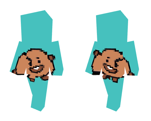 Shooky