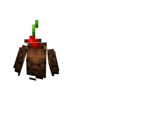 it's my 25th birthday Minecraft skin