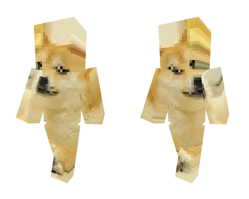 Doge