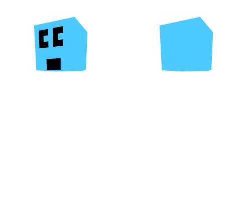 craftee's head