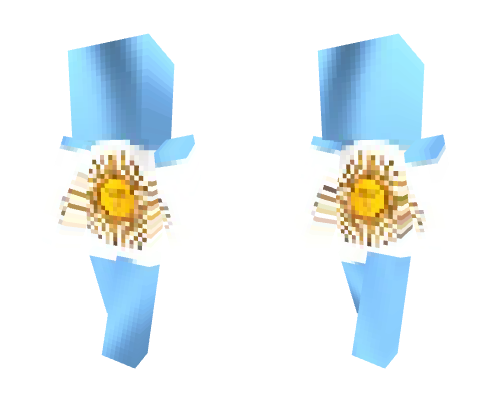 Argentina Minecraft skin