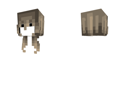 Female HB - Short Grayish Blondish Brown Fade v2