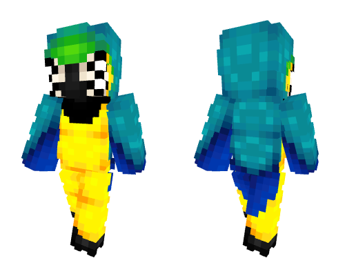 Blue And Gold Macaw