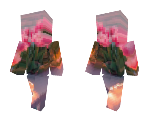 Cute Rose