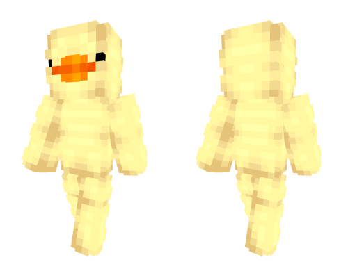 Baby Chick or Duckling