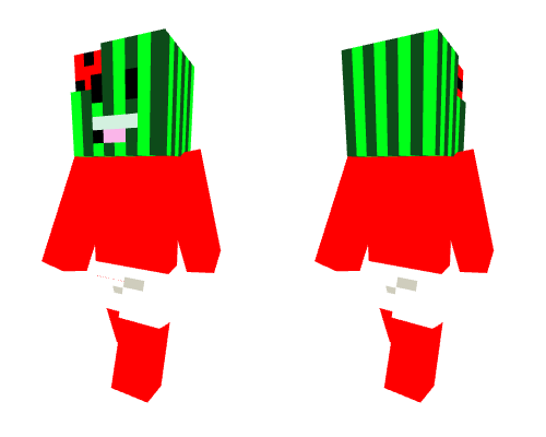 MELON Minecraft skin