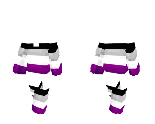 OB ~ Pride Ace Sweater w/ Socks Minecraft skin
