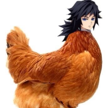 ch1ck3n_w1sp3rer